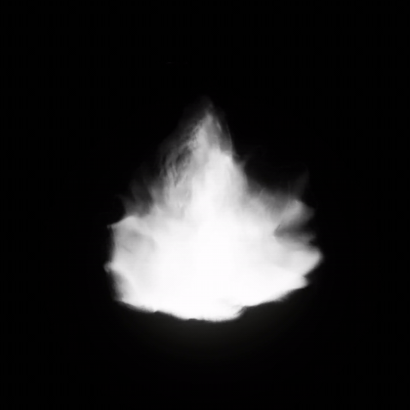 MuzzleFlower Realtime
